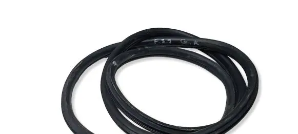 BMW X2 F39 Rear door rubber seal (on body) 7420803