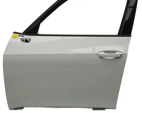 Cupra Born Front door 10A831055N LS9R