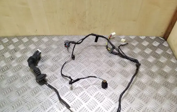 Rear door wiring loom