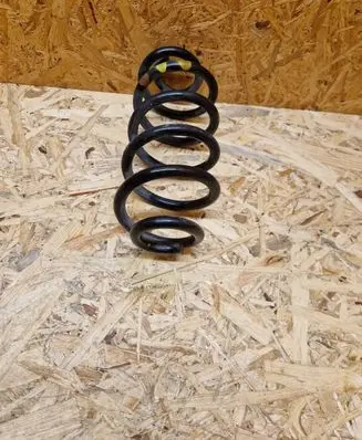 Rear coil spring