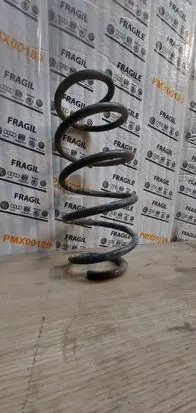 Volkswagen PASSAT B6 Front shock absorber with coil spring 1234