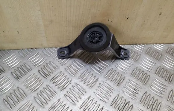 Panel speaker