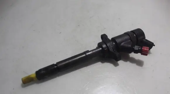 Citroen C4 I Picasso Fuel injector 0445110259