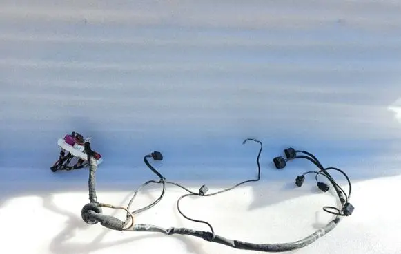 Front door wiring loom