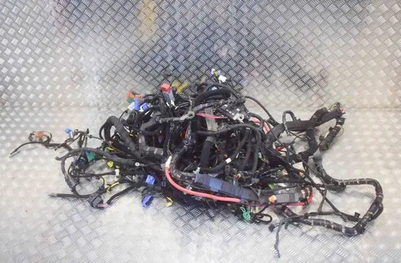 Maserati Quattroporte Engine installation wiring loom 670007386 670003930