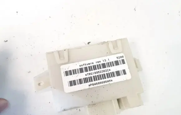 Chrysler Town & Country IV Other control units/modules trg18952362c 5200