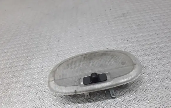Ford Fusion Rear seat light