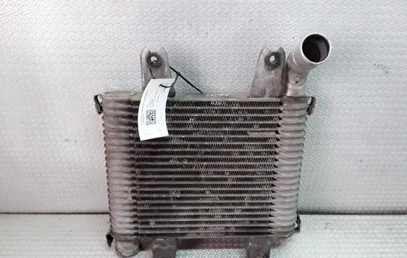 KIA Carnival Intercooler radiator 55313550