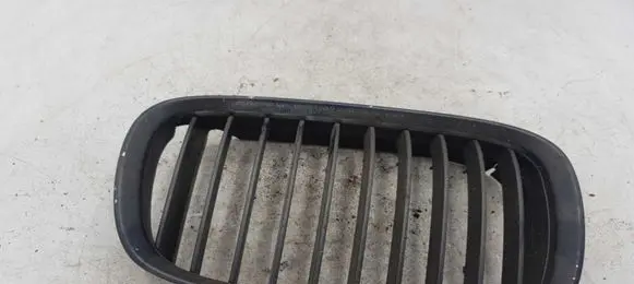 BMW 5 E39 Front bumper upper radiator grill NOCODE