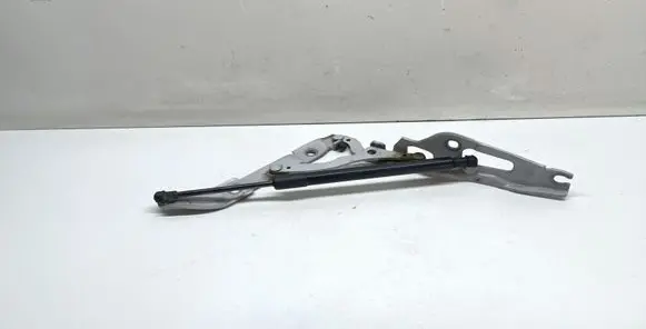 BMW 1 E82 E88 Tailgate/trunk/boot hinge 7166752