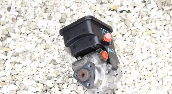 BMW 3 E46 Power steering pump 1095155 7691900513