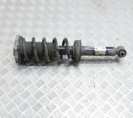 BMW X3 G01 Rear shock absorber/damper 16997810 6871802