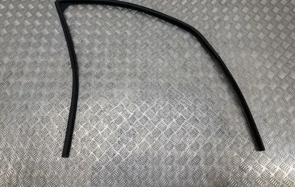Dacia Sandero Rubber seal front door window/glass