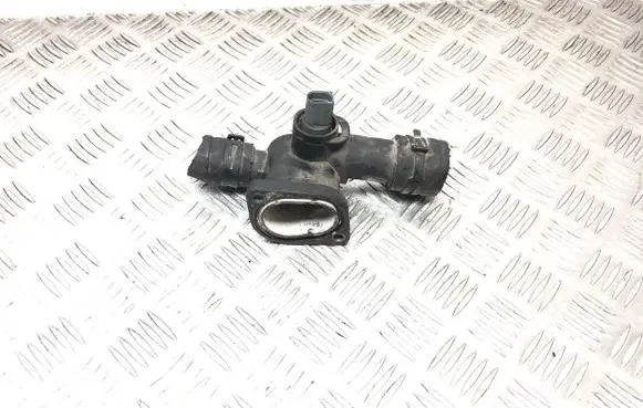 Thermostat/thermostat housing