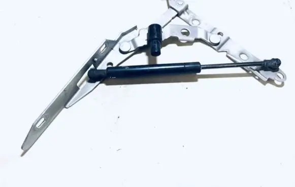 Tailgate/trunk/boot hinge