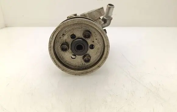 Volkswagen Transporter - Caravelle T5 Power steering pump 06H145255