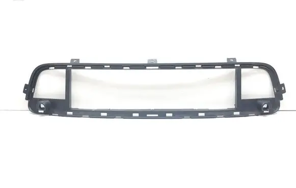 BMW X5 E70 Front bumper lower grill 7171348