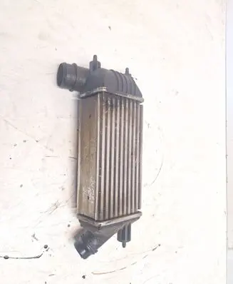 Citroen Jumpy Intercooler radiator 8995000