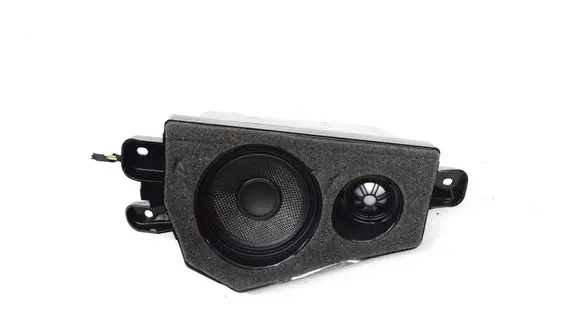BMW X6 F16 Rear door speaker 9354324