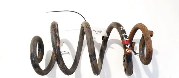 Nissan Qashqai Rear coil spring