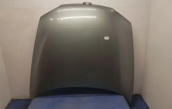 Peugeot 406 Engine bonnet/hood