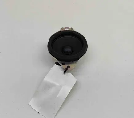 Panel speaker