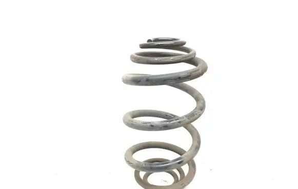 Renault Trafic III (X82) Rear coil spring