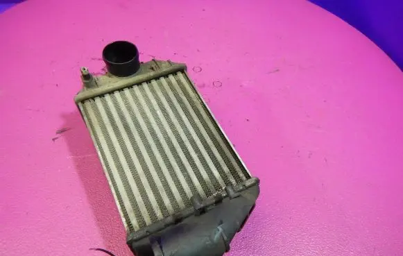 Volkswagen PASSAT B5.5 Intercooler radiator 058145805