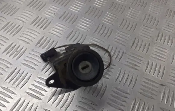 Fiat Punto (188) Tailgate/trunk/boot lock/catch/latch
