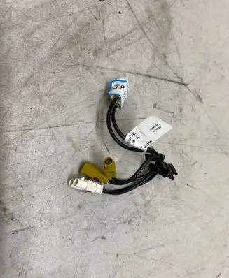 Tesla Model S Sound system wiring loom 107145100A