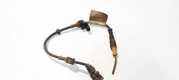 Opel Signum Other wiring loom 24418887