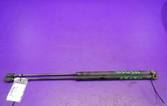 Tailgate strut