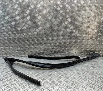 BMW X1 F48 F49 Rubber seal front coupe door 7349635