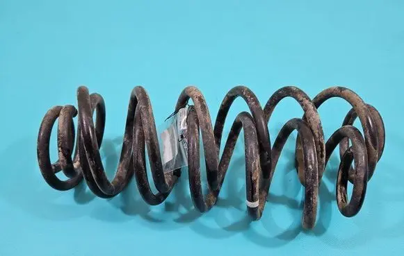 Rear coil spring