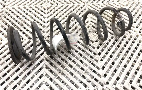 Rear coil spring