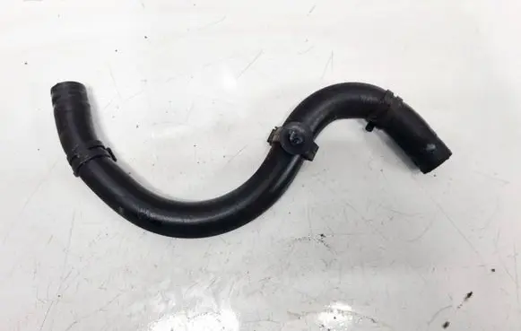 Land Rover Range Rover Evoque L551 Engine coolant pipe/hose