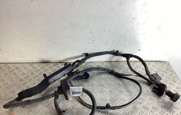 Other wiring loom