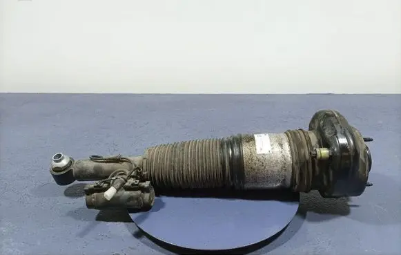Audi A4 S4 B7 8E 8H Rear shock absorber/damper 7459306