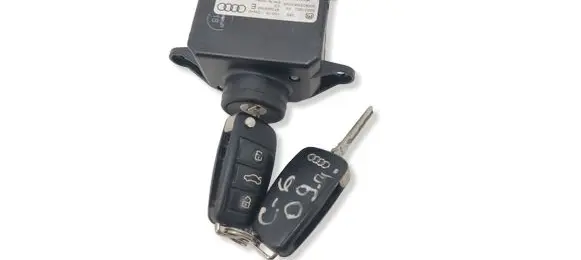 Audi A6 S6 C6 4F Ignition lock 4F0909135