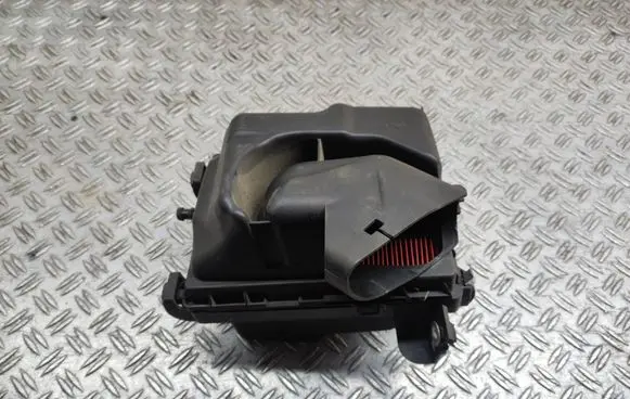 Nissan Juke I F15 Air filter box 