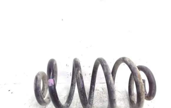 Renault Koleos I Rear coil spring
