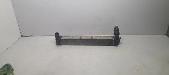 Renault Megane III Intercooler radiator