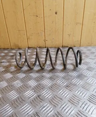 Volkswagen New Beetle Rear coil spring