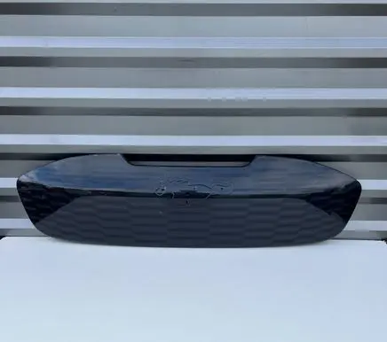Ford Mustang Mach-E Front grill LK9B8C436BAW
