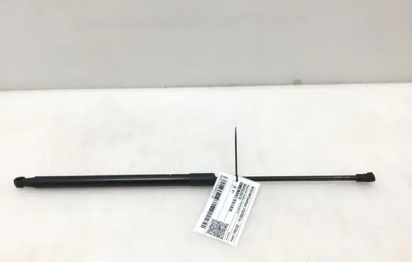 Nissan Qashqai Tailgate strut 90450JD01B