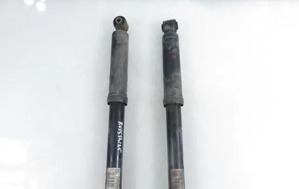 Citroen C3 Rear shock absorber/damper 9673896880