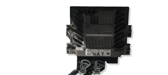 Nissan Qashqai Engine control unit/module 23710JD54D 275753489 S180033104