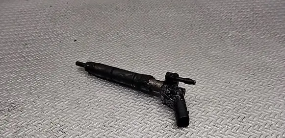 Mercedes-Benz S W221 Fuel injector A6420701387 0445115064