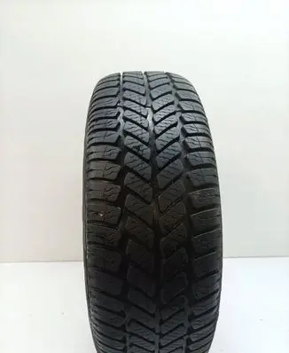Renault Megane II R15 winter tire 