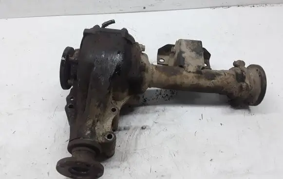 Nissan Terrano Front differential 